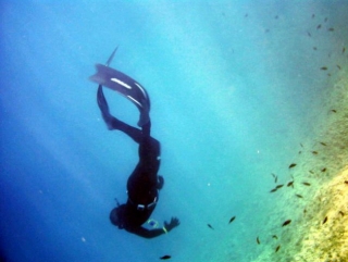 MonSub